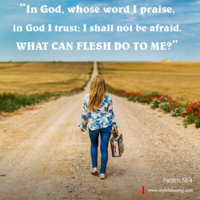 English Language Bible Verses In God, whose word I praise, in God I trust; I shall not be afraid. What can flesh do to me? ‭‭ Psalm‬ ‭56:4‬